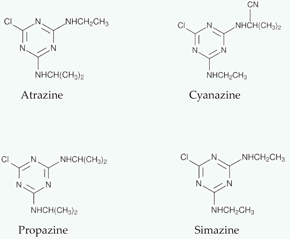 The main triazine herbicides